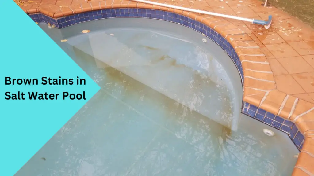 brown-stains-in-salt-water-pool-causes-solutions-and-prevention