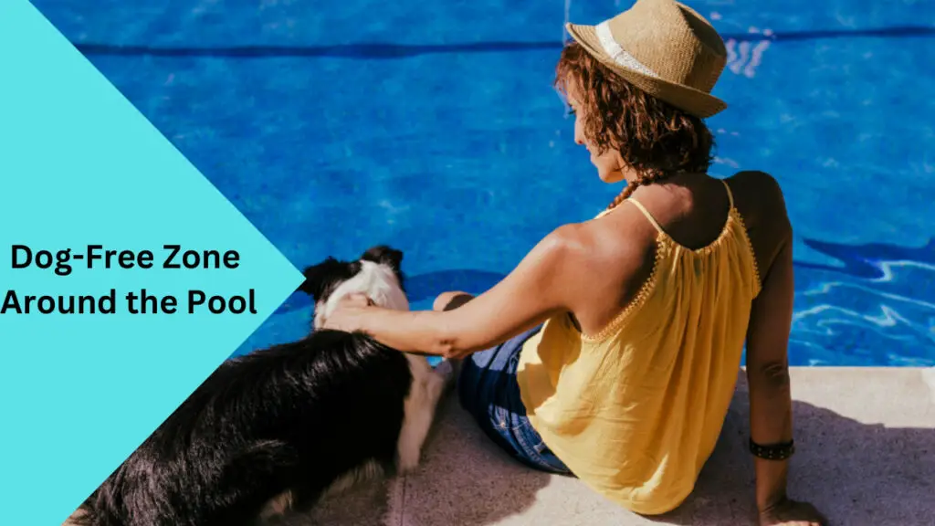 Does Dog Hair Clog your Pool Filter