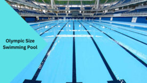 How Big is an Olympic Size Swimming Pool