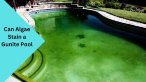 Can Algae Stain a Gunite Pool